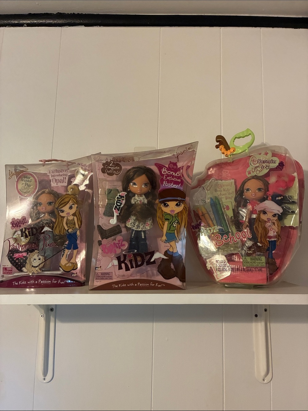 Fashion Doll Playset - Pink Dolls with Accessories